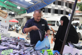 Rize'de Karadeniz palamudu tezgahlarda 50 liradan başlayan fiyatlarla satışa sunuluyor