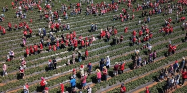 Avustralya'daki Çiftlikte 1522 Kişinin Katılımıyla Yeni Dünya Rekoru Kırıldı
