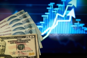 Dolar/TL kuru haftanın ilk gününde 49,1630 seviyesine çıkarak rekor tazeledi